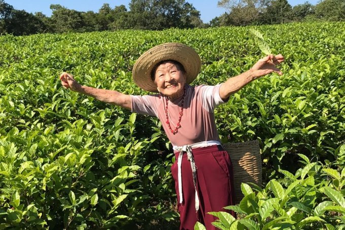 Ume Shimada: empreendedora de 94 anos diz qual o segredo da longevidade